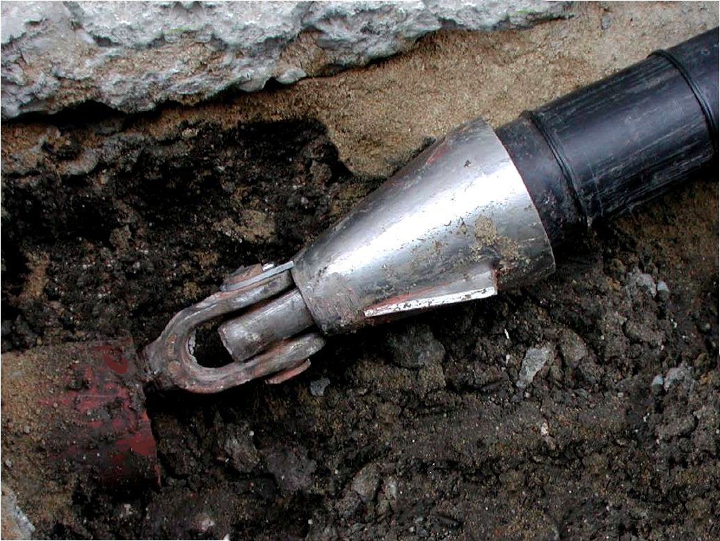 Root of sewer problems - image.