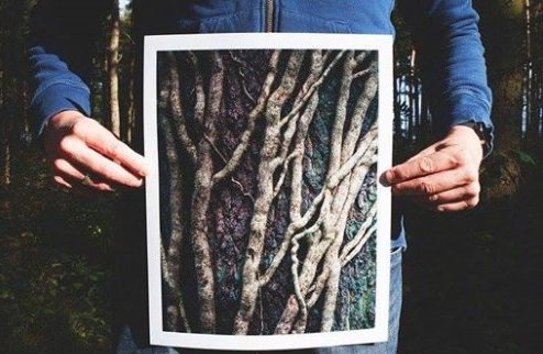 Root of sewer problems - image.