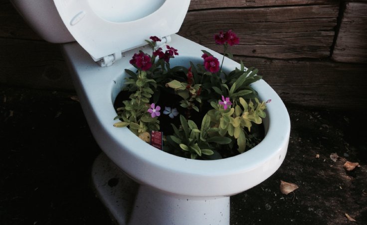 Sewer Pipe Repairs Tacoma Lakewood University Place Puyallup.