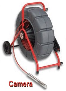 Root of sewer problems - image.